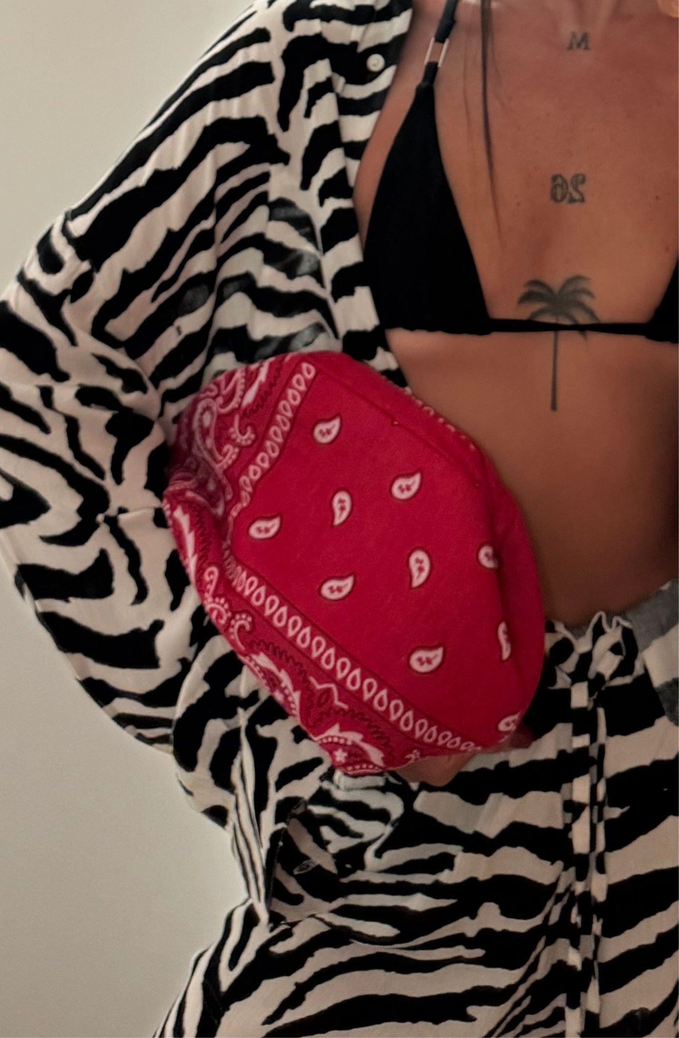 cluth bag